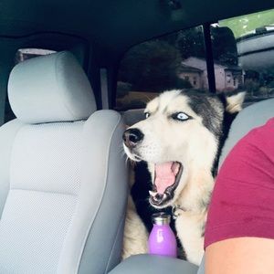 Meet your Posher, Cristal